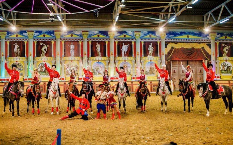 Шоу-программы