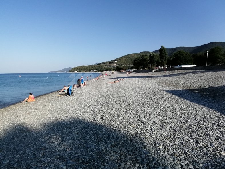 Галерея Криница #1