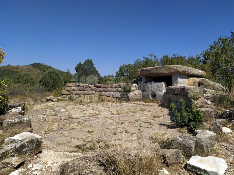 Галерея Гора Нексис #0