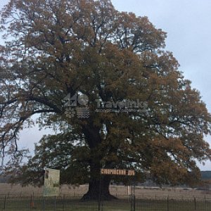 Галерея Белая скала + мыс Хамелеон/ парк Львов #0