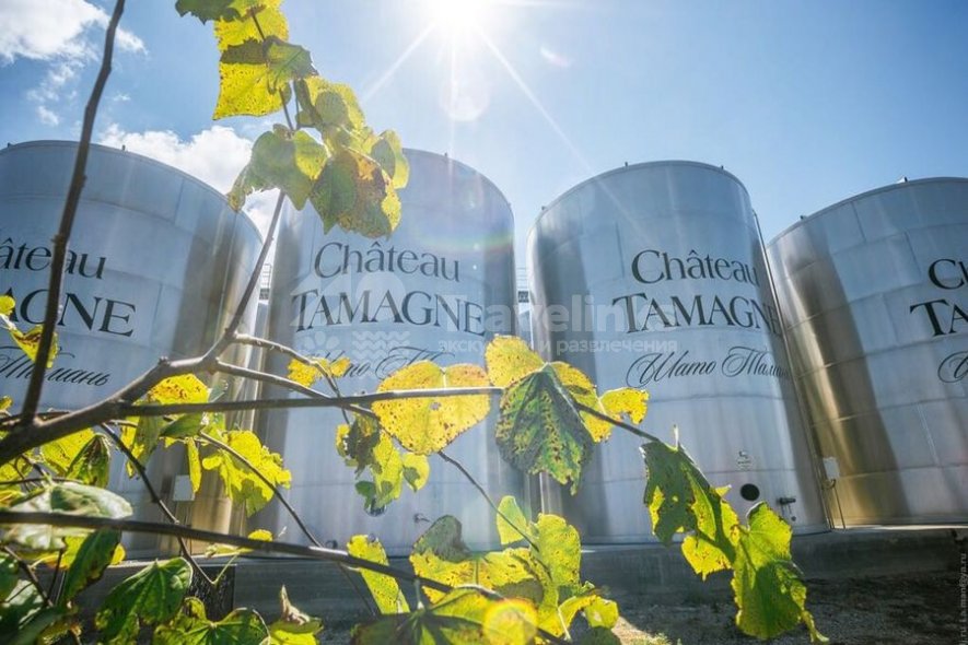 Галерея Тур в Шато-Тамань #0