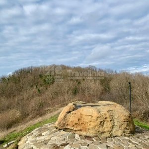 Галерея Крест, Пуп земли и Чайная полка #2