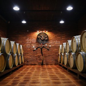 Галерея Абрау-Дюрсо #5