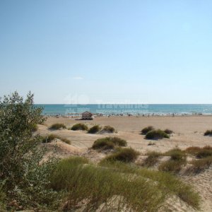 Галерея Кавказ #1