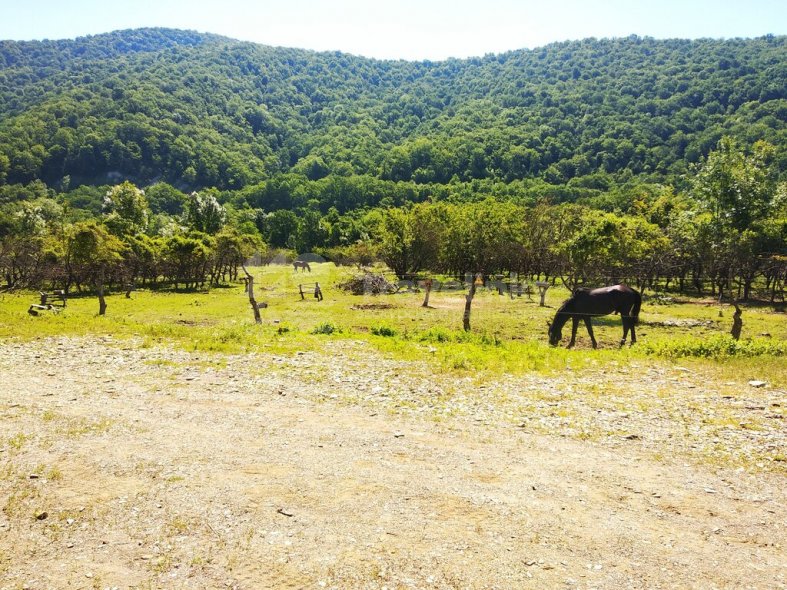 Остров «Антар»