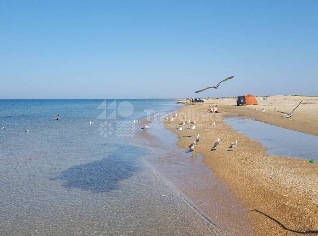 Пляж «Тортуга» в Витязево. Песчаное побережье, развитая инфраструктура, красивая природа привлекают туристов.