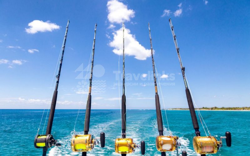 Морская рыбалка на яхтах, катерах, катамаранах