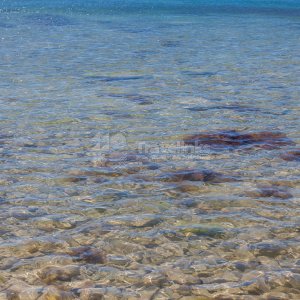 Галерея Дикий пляж «Круча» #3