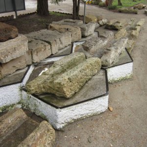 Галерея Горгиппия #1