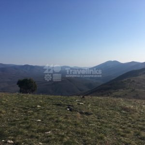 Галерея Гора Нексис #1